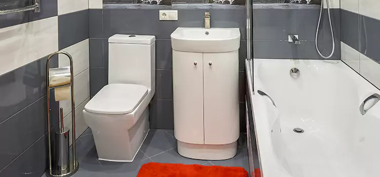 Hansgrohe Shaving Mirror North Amityville